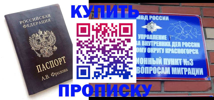 прописка поиск в Домодедово